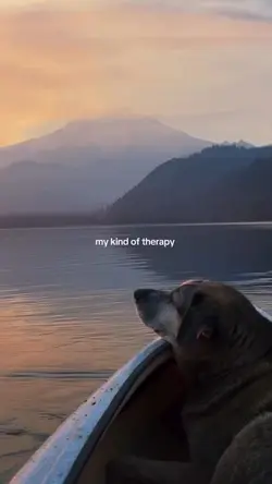 my kind of therapy 
