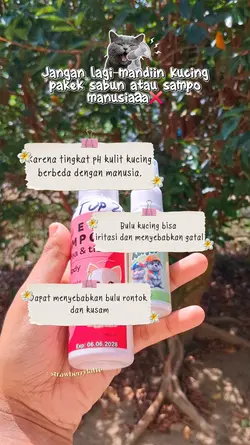 Perawatan kucing