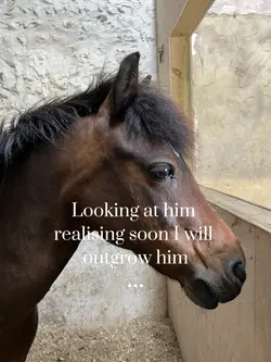Looking at him …