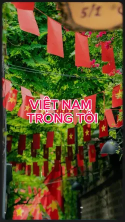 VIỆT NAM TRONG TÔI