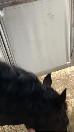 Un peu de bleu 