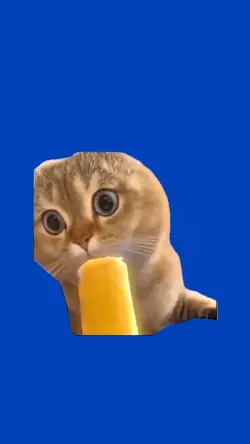 Sad Cat Meme: Discover the Funniest Memes & Images Online