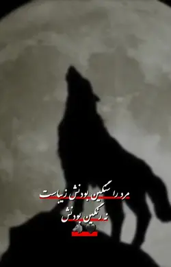 گرگ