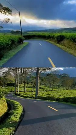 layout 2 video road