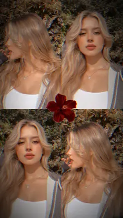 4pics