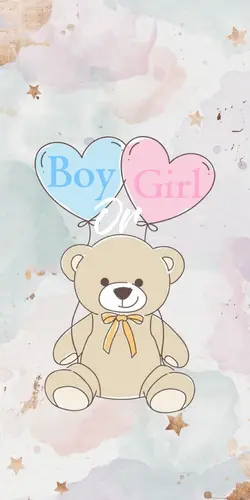 Boy or Girl Osos