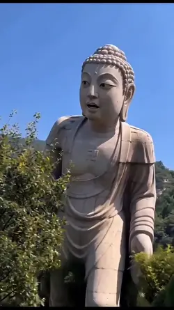 Hài hước