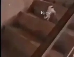 Name