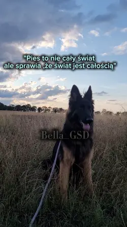 całosc