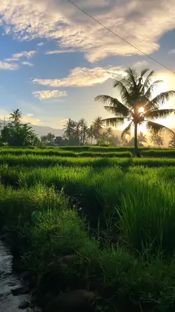 keindahan alam desa