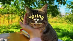 SPRING 2026