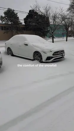Snowfall