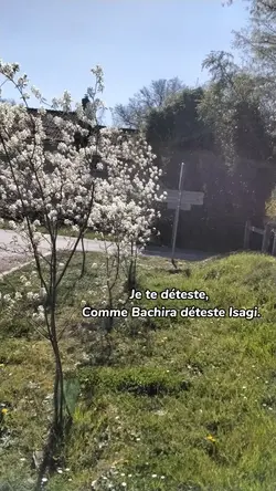 Po de titre TvT