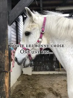 Pas nous…