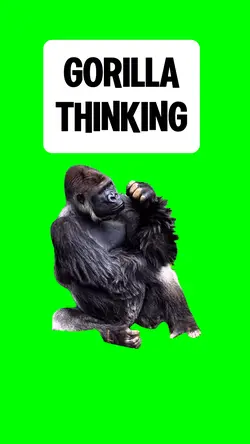 GORILLA THINKING