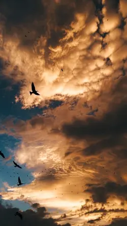 🌅 Sky Passage