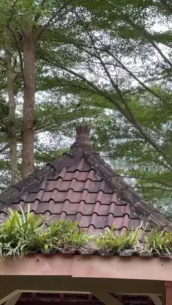 masak kari