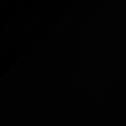 skull icon