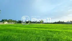 iPhone 11
