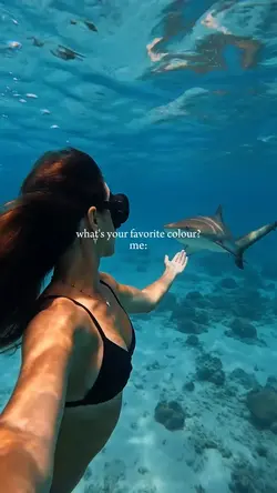 WHAT'S YOUR FAVORITE