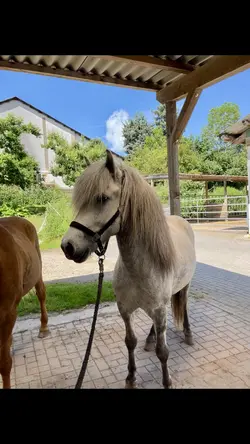 1 Tag mit mir 🤗
