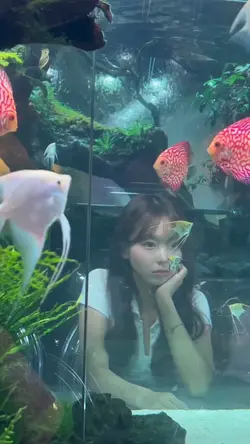 봄눈