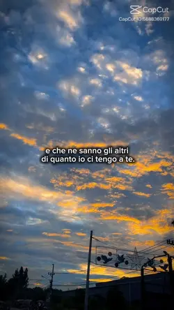che ne sanno 