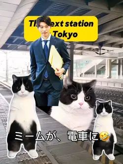 NEXT STATION🚉🐱