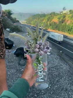 frsh flowers