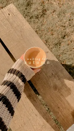 autumn fall vibes