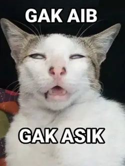 aib temen