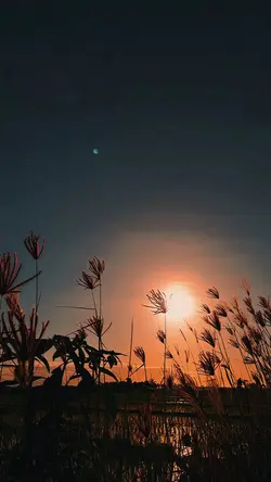 the night we met