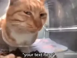 Mr. Fresh 2 Side-eye