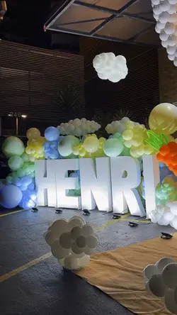 Aniversário ✨