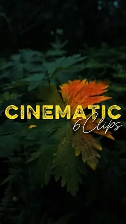 CINEMATIC 5 CLIPS