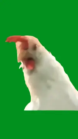 chicken into 