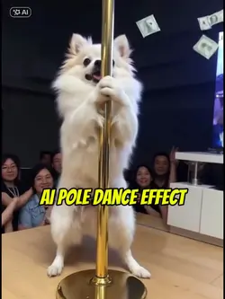 Into pole dancer pet