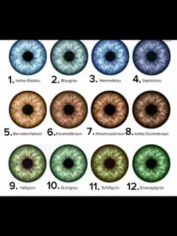 eyes