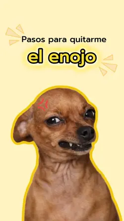 Pasos para ser feliz
