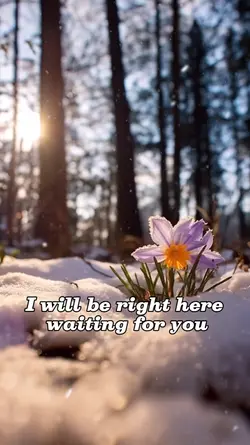 Right here waiting