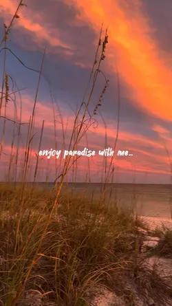 Enjoy paradise