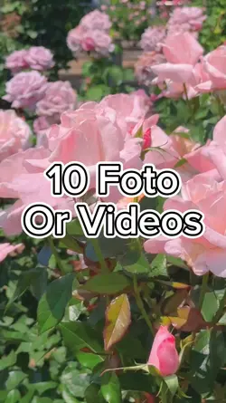 10 Foto Slide