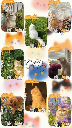 Cat Day