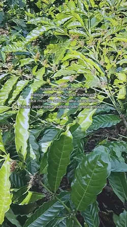 petani berdasi