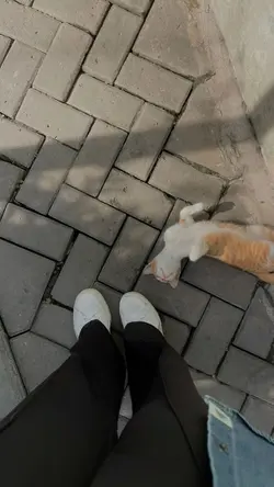 lirik kata kata