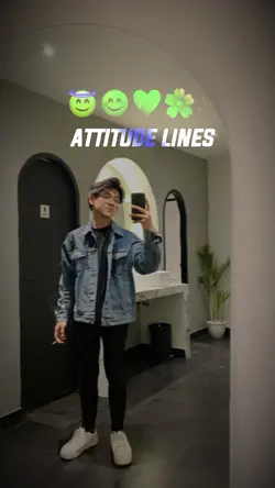 Attitude status 