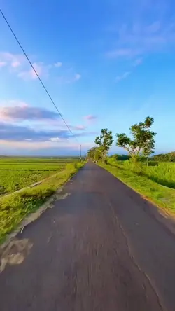 Sky and Sunset