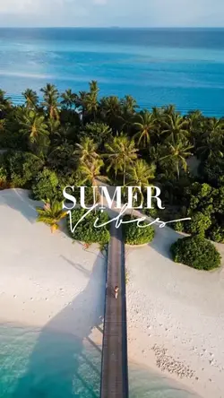 Summer vibes