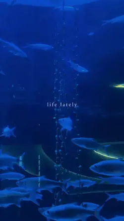 life lately