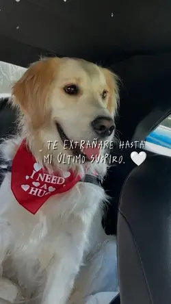 Hasta el fin amigo